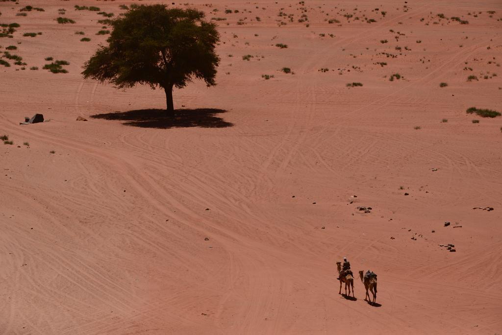 Wadi Rum Sleep Under The Stars 外观 照片